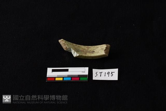 玉環藏品圖，第5張