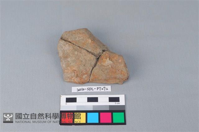 連杯形器藏品圖，第3張