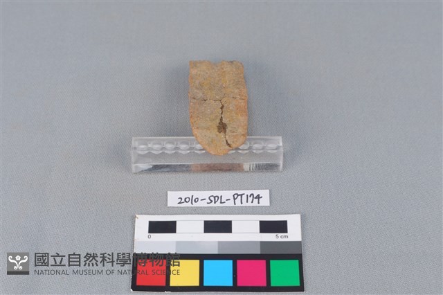 陶鼎足藏品圖，第3張