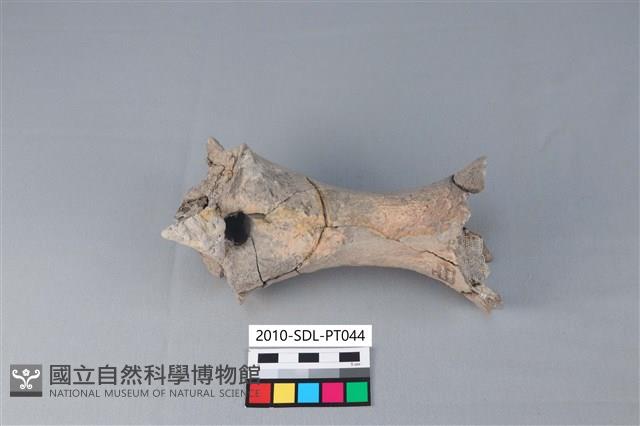 連杯形器藏品圖，第3張