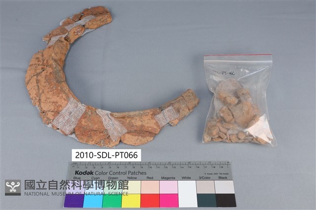 陶罐藏品圖，第3張