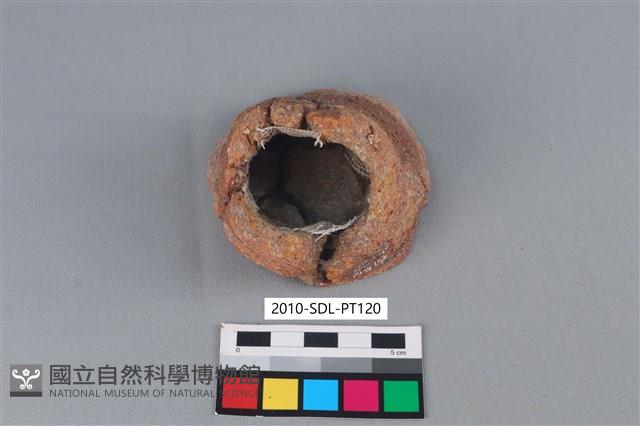 陶鼎足藏品圖，第3張