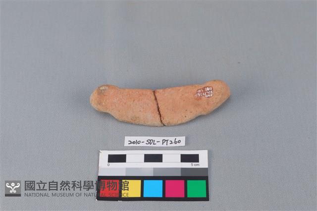 陶網墜藏品圖，第3張