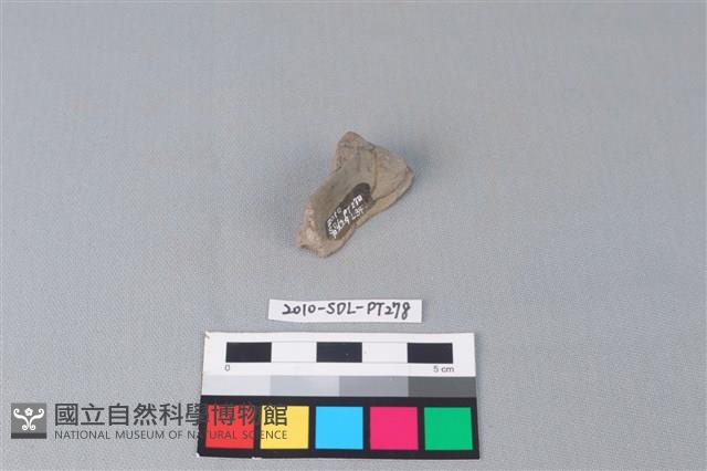 連杯形器藏品圖，第3張