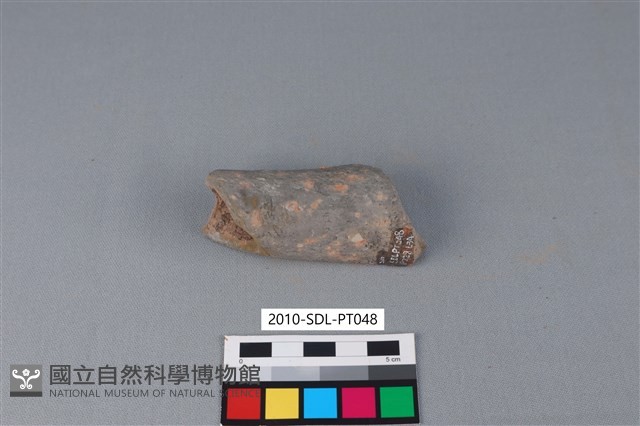 連杯形器藏品圖，第3張