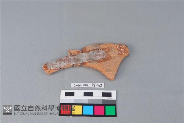 連杯形器藏品圖，第3張