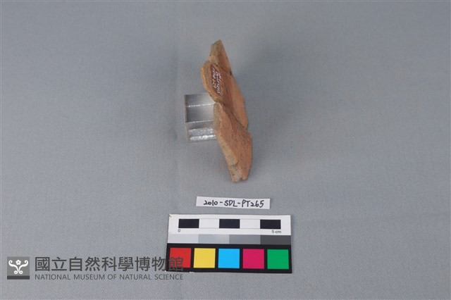 連杯形器藏品圖，第3張