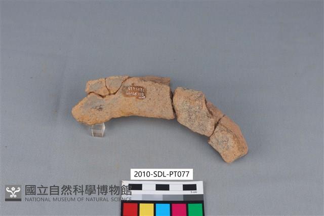 陶罐藏品圖，第3張