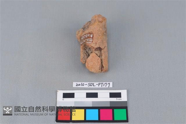 陶鼎足藏品圖，第3張