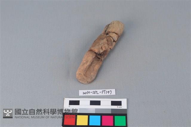 陶鼎足藏品圖，第3張