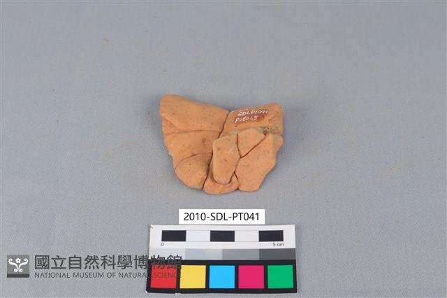 連杯形器藏品圖，第3張