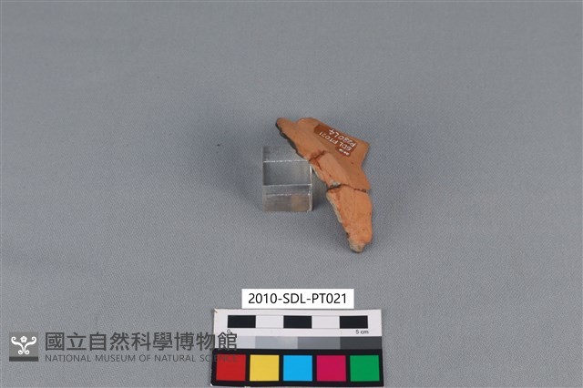連杯形器藏品圖，第3張
