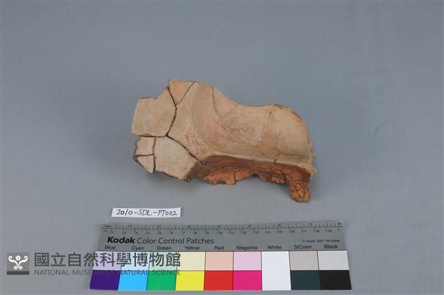 Accession Number:2010-SDL-PT002 Collection Image, Figure 3, Total 4 Figures