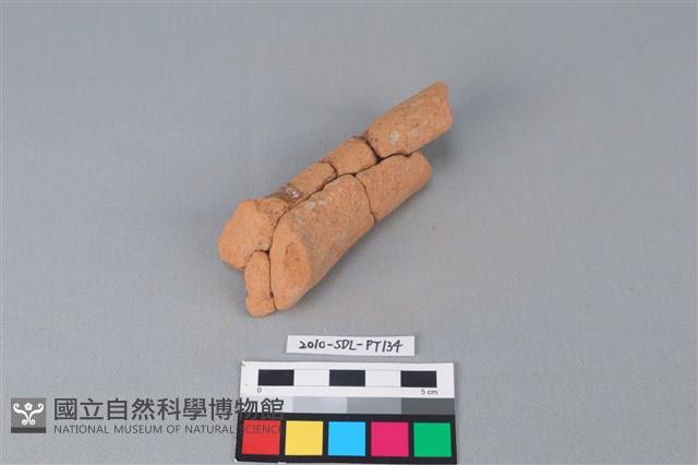 Accession Number:2010-SDL-PT134 Collection Image, Figure 3, Total 3 Figures