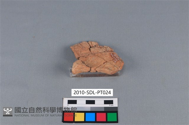 連杯形器藏品圖，第3張
