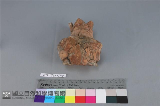 連杯形器藏品圖，第3張