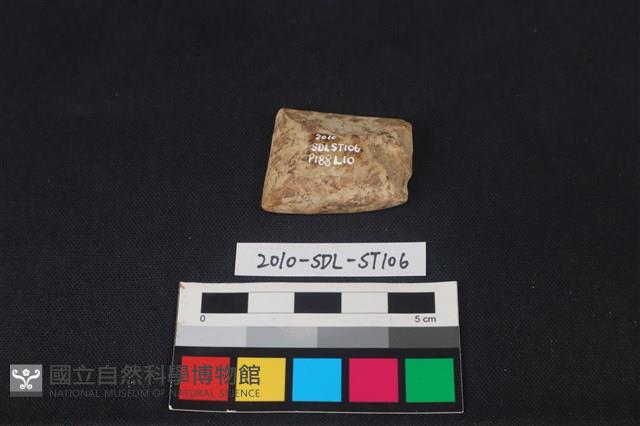 錛鑿形器藏品圖，第3張