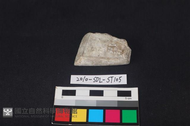 矛鏃形器藏品圖，第3張