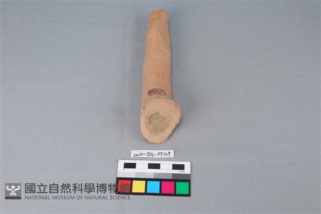 陶鼎足藏品圖，第3張
