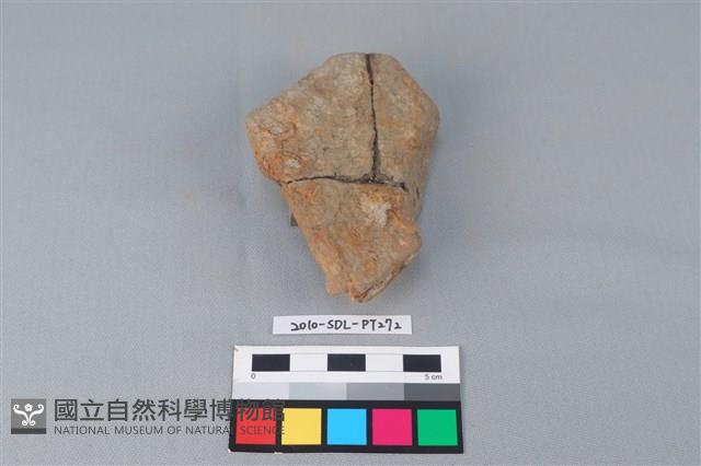 連杯形器藏品圖，第1張