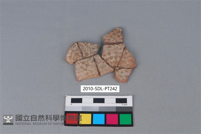 陶片藏品圖，第1張