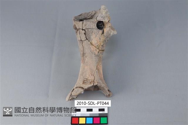 連杯形器藏品圖，第1張