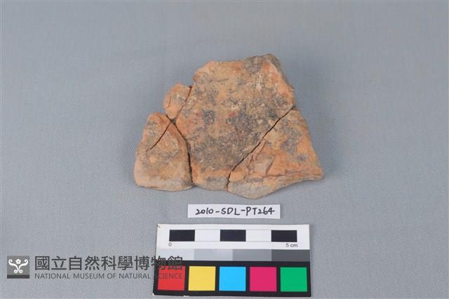 連杯形器藏品圖，第1張