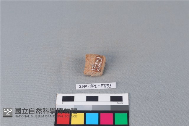 陶把藏品圖，第1張