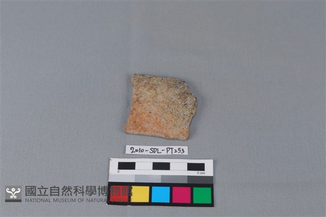 陶片藏品圖，第1張