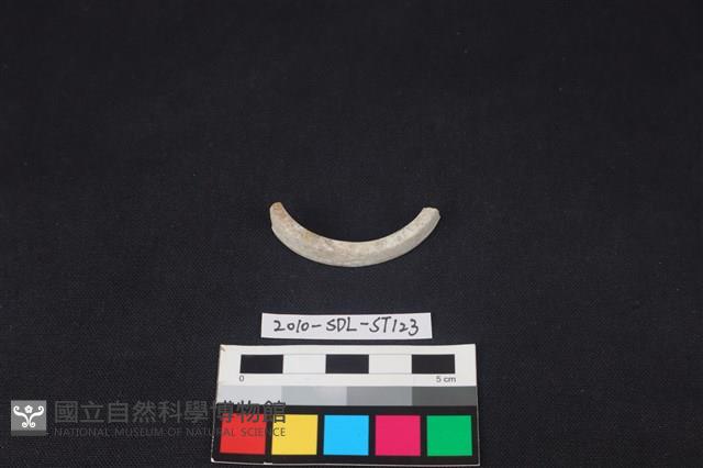 玉環藏品圖，第1張