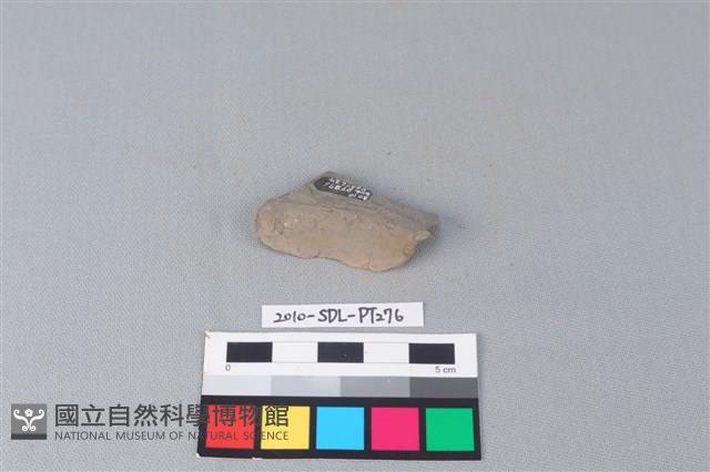 連杯形器藏品圖，第1張