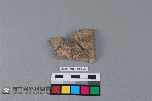 陶片藏品圖，第1張