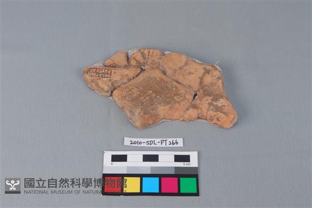 連杯形器藏品圖，第1張