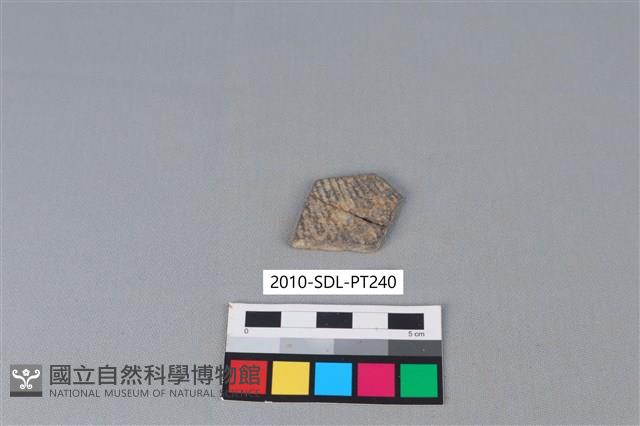 陶片藏品圖，第1張