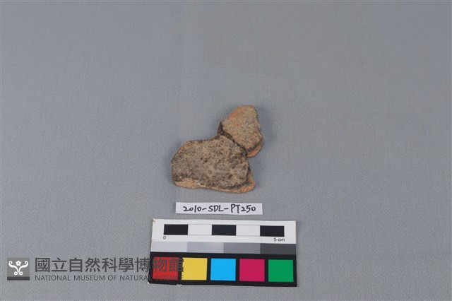 陶片藏品圖，第1張