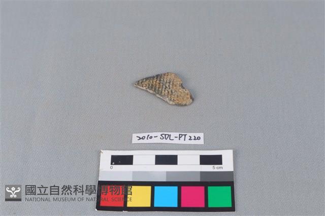 陶片藏品圖，第1張