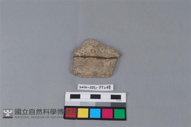 陶片藏品圖，第1張