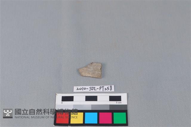 陶片藏品圖，第1張