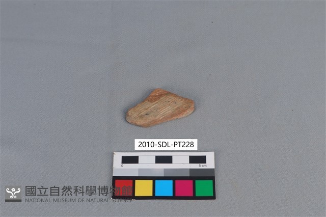 陶片藏品圖，第1張