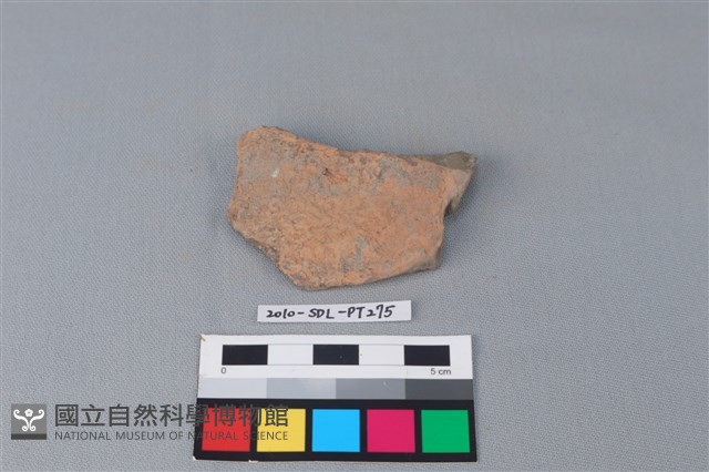 連杯形器藏品圖，第1張