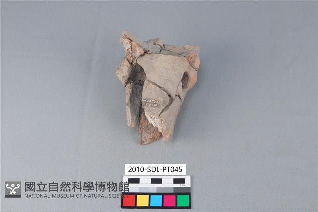 連杯形器藏品圖，第1張