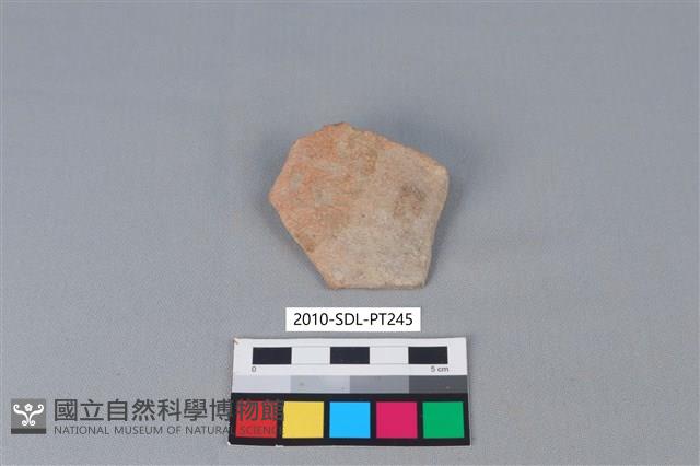 陶片藏品圖，第1張