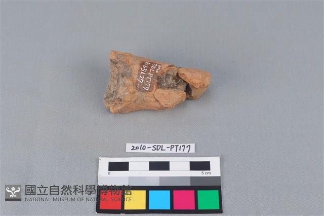 陶鼎足藏品圖，第1張