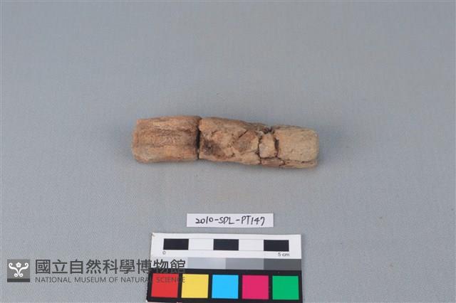 陶鼎足藏品圖，第1張