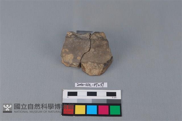 陶片藏品圖，第1張