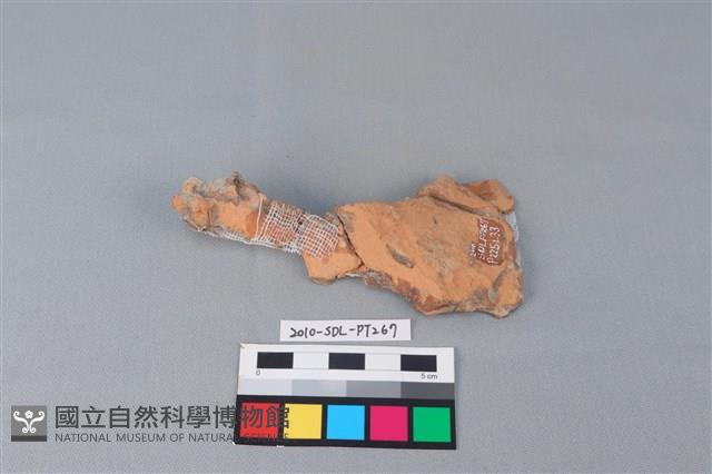 連杯形器藏品圖，第1張