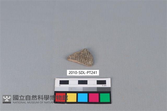 陶片藏品圖，第1張