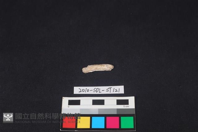 石器藏品圖，第1張