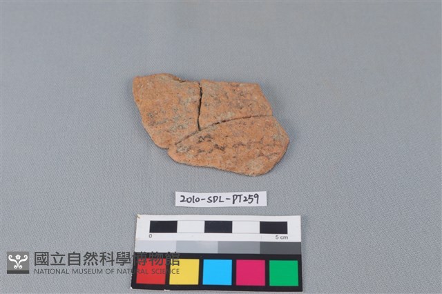 陶片藏品圖，第1張