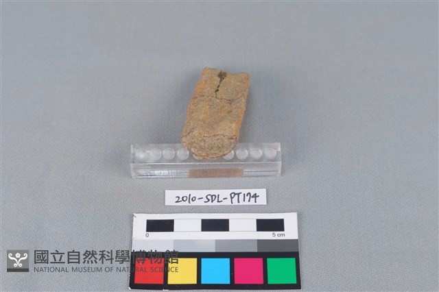陶鼎足藏品圖，第4張
